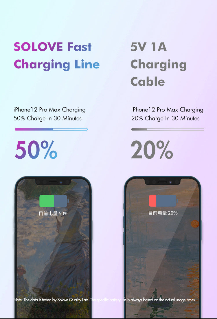 SOLOVE DW3 Fast Charging Type-C 2W Cable