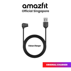 Amazfit Original Charger
