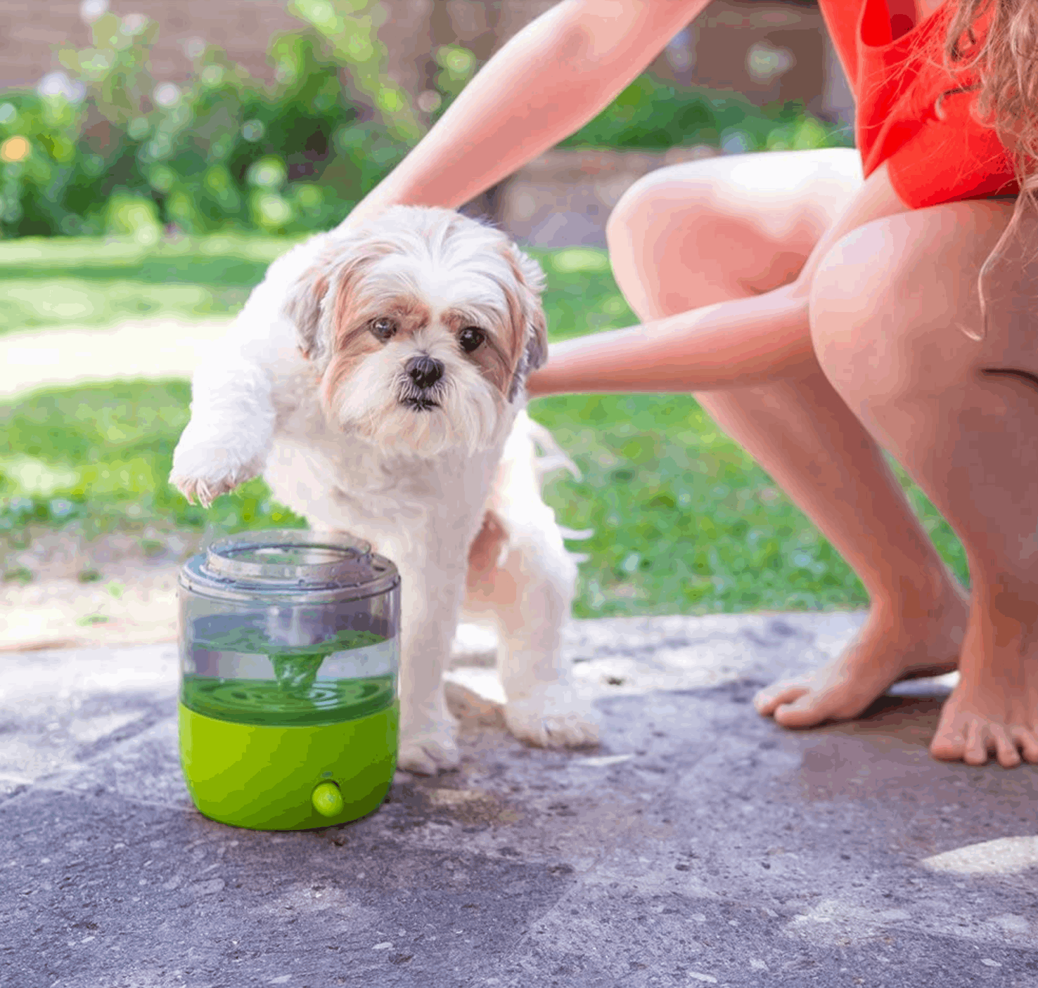 Gosh EasyPaw Automatic Paw Washer & Spa for Dogs & Cats