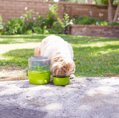 Gosh EasyPaw Automatic Paw Washer & Spa for Dogs & Cats