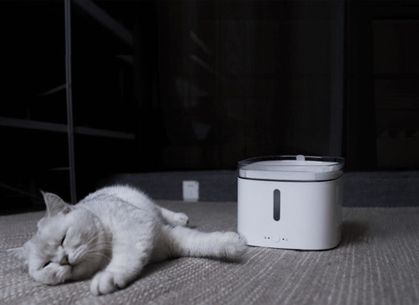 Xiaomi Smart Pet Drinking Fountain (2L)